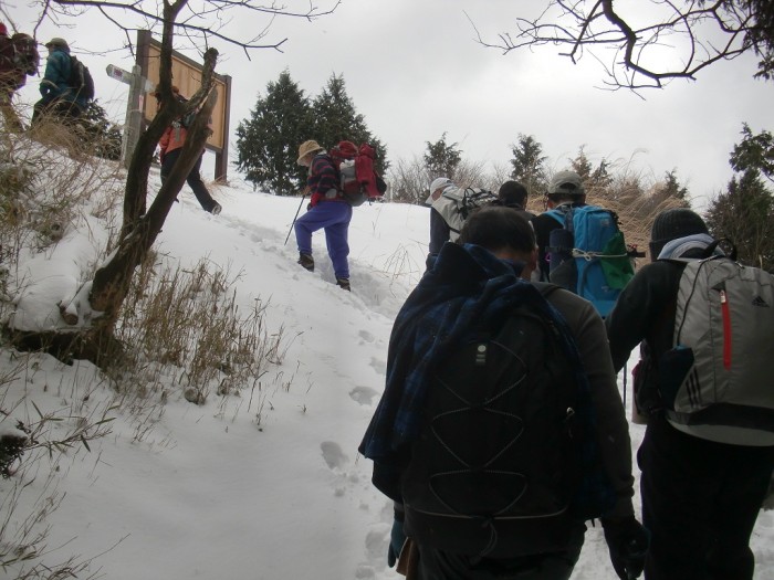 2月11日のせでん耐寒ハイキング