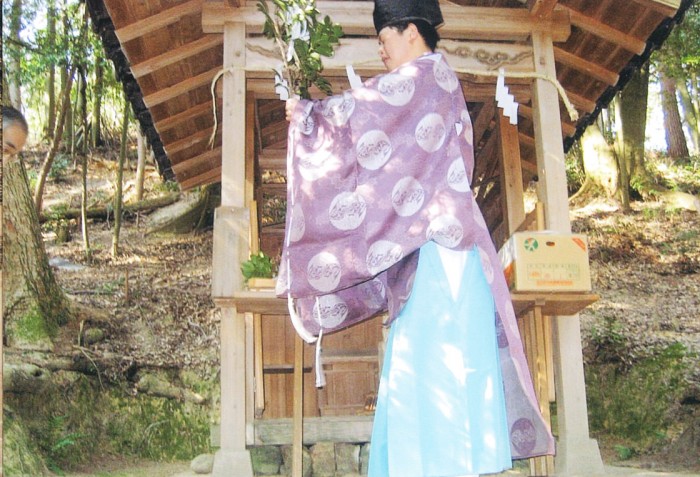 のせでん沿線イベント情報