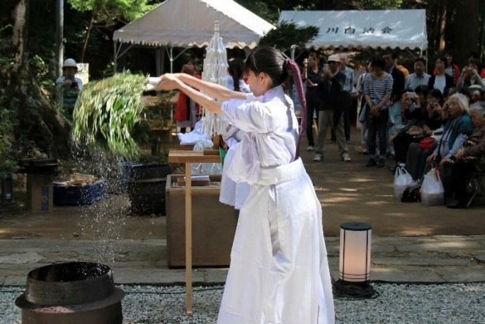 のせでん沿線イベント情報