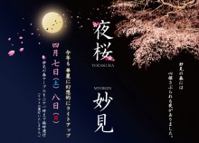 4月7日(土)・8日(日)妙見の森 夜桜ライトアップを行います(終了しました)