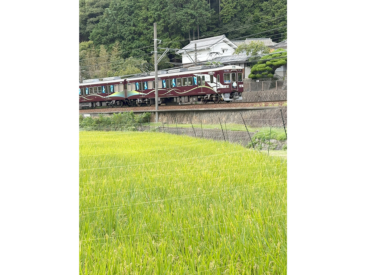 7200×2Rデビュー