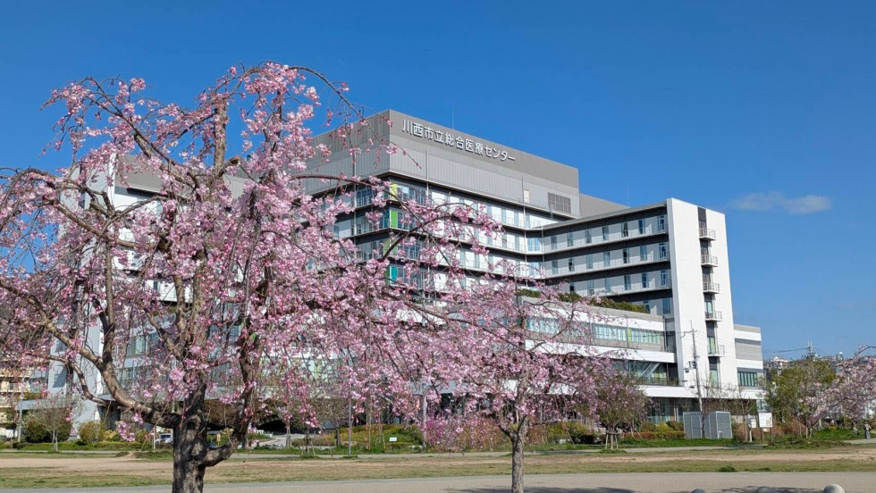 のせでん沿線桜の開花状況