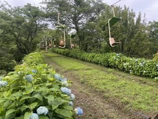 妙見の森リフト