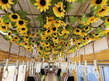 のせでん風鈴電車「音色彩る」運行情報
